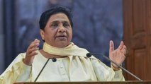 Will BSP be able to replicate magic of 'Social Engineering'?