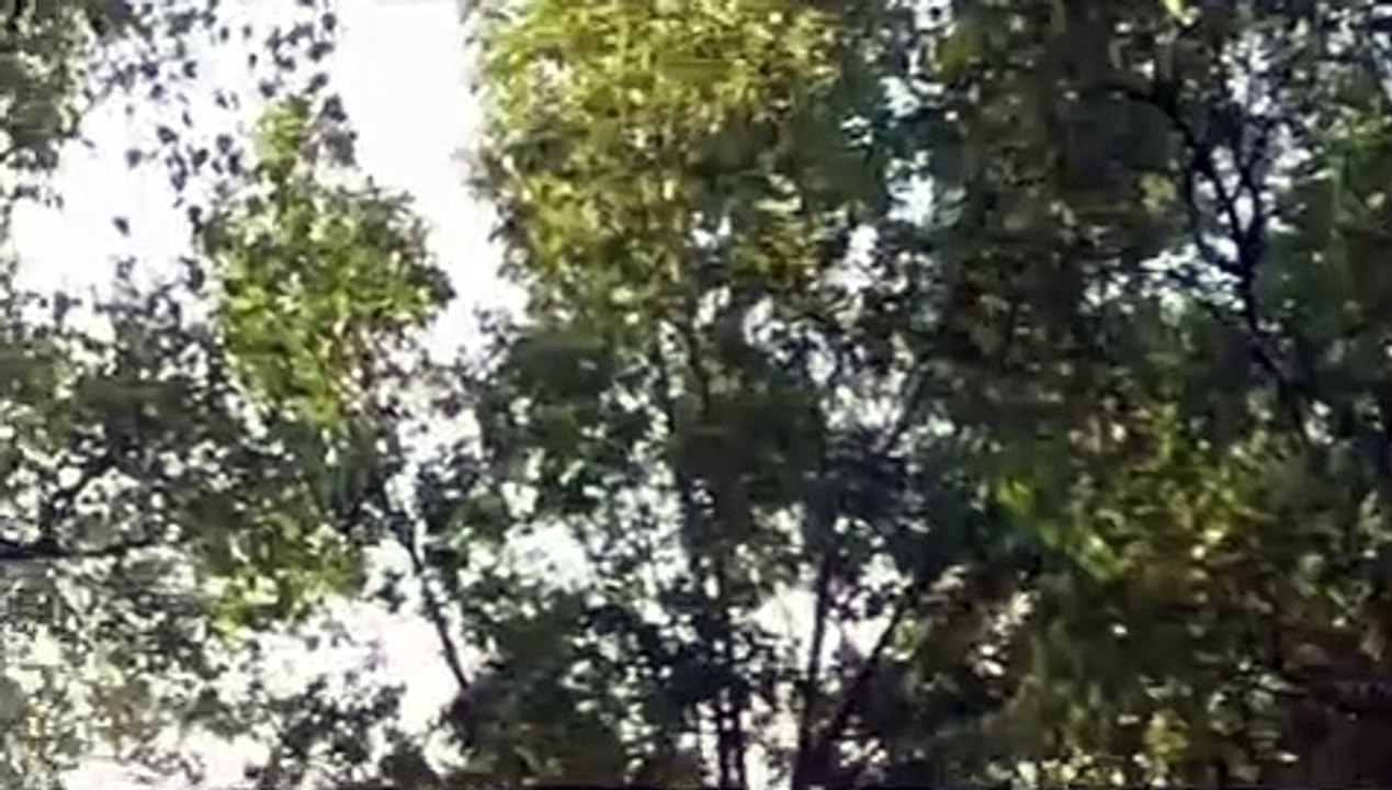 Wie löse ich meine emotionale Abhängigkeit in Beziehungen auf