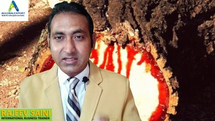 how to export bloodwood from India, red wood export