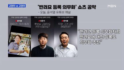 [MBN 프레스룸] 고양이 vs 고양이