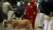 Muslim buying chicken from butcher on occasion of Eid-ul-Fitr