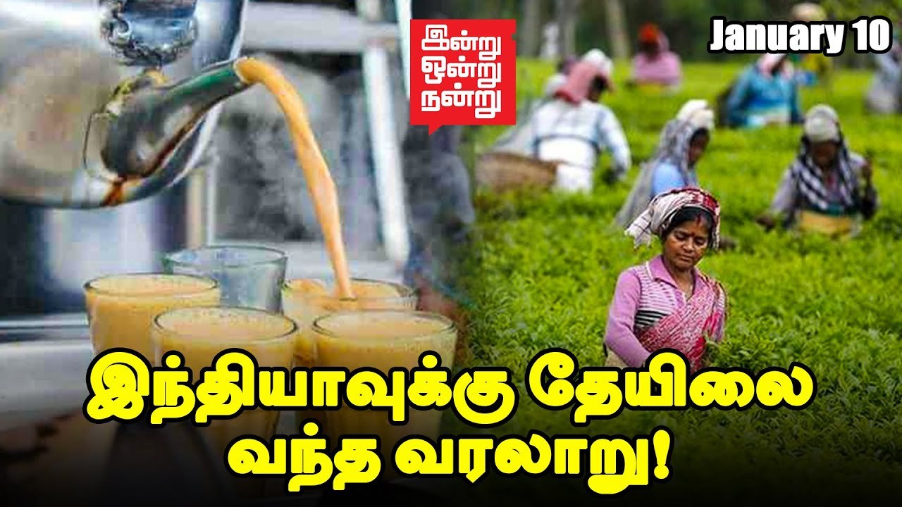 India வை England ன் தேயிலைக் காடாக மாற்றிய Britain _ இன்று ஒன்று நன்று _ Ananda Vikatan