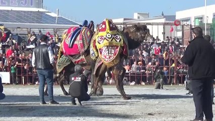 Deveci başkandan, mevkidaşlarına çağrı: "Devecilik kültürümüze sahip çıkalım"