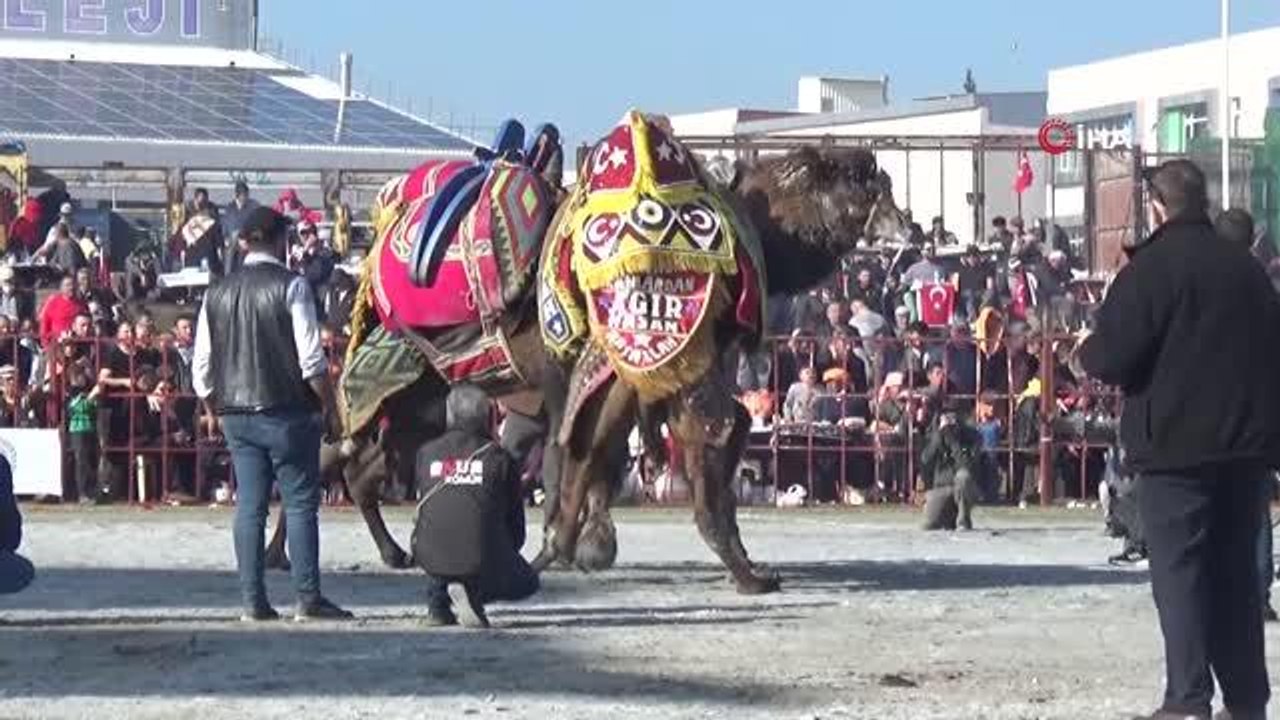 Deveci başkandan, mevkidaşlarına çağrı: "Devecilik kültürümüze sahip çıkalım"