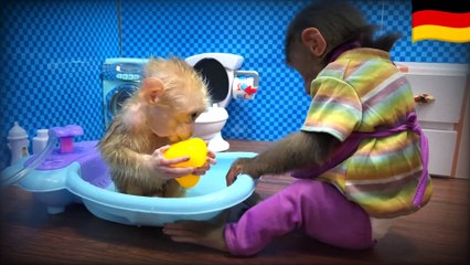Nanny BiBi bathes baby monkey Obi so sweet