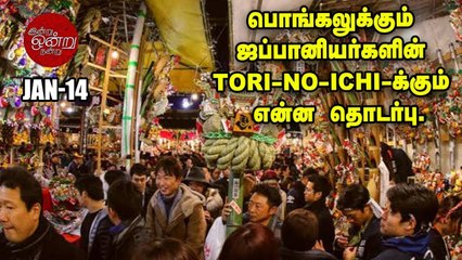 பொங்கல் திருநாளில் மாடுகளுக்கு ஏன் முக்கியத்துவம்_ _ வரலாற்றுப் பார்வை _ இன்று ஒன்று நன் (1)