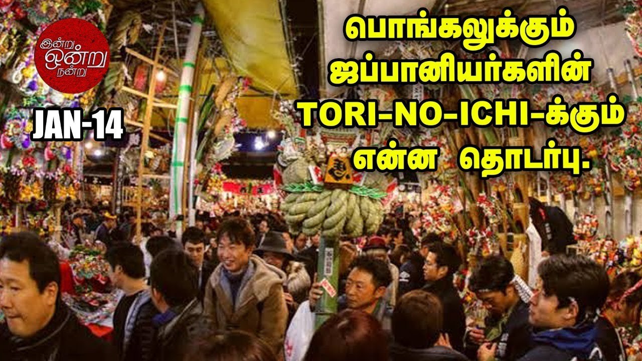 பொங்கல் திருநாளில் மாடுகளுக்கு ஏன் முக்கியத்துவம்_ _ வரலாற்றுப் பார்வை _ இன்று ஒன்று நன் (1)