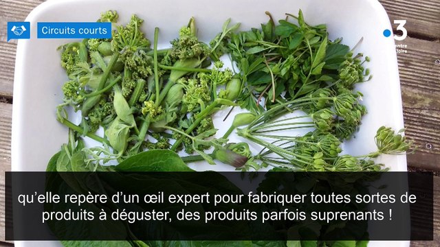 Circuits courts : L’HERBANDINE, des plantes sauvages à découvrir et à déguster