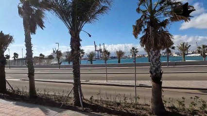 Lucha de gaviotas en día de mar brava