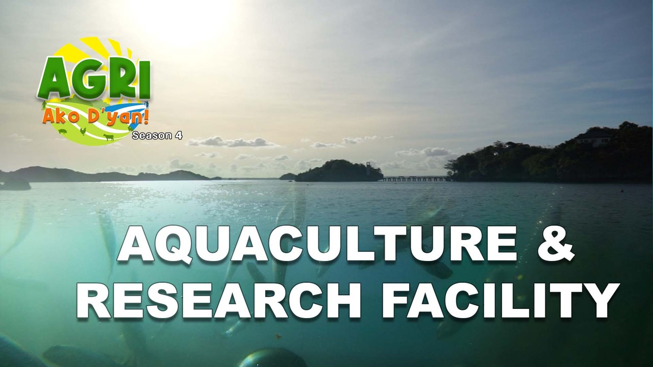 Aquaculture & Research Facility