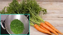 गाजर की पत्ती खाने से जबरदस्त फायदा, Weight Loss से लेकर Kidney Problem तक से छुटकारा | Boldsky