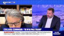 Gilbert Collard, rallié à Eric Zemmour: 
