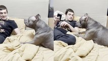 'Adorable dog is SUPER MAD at her owner for chilling without her '