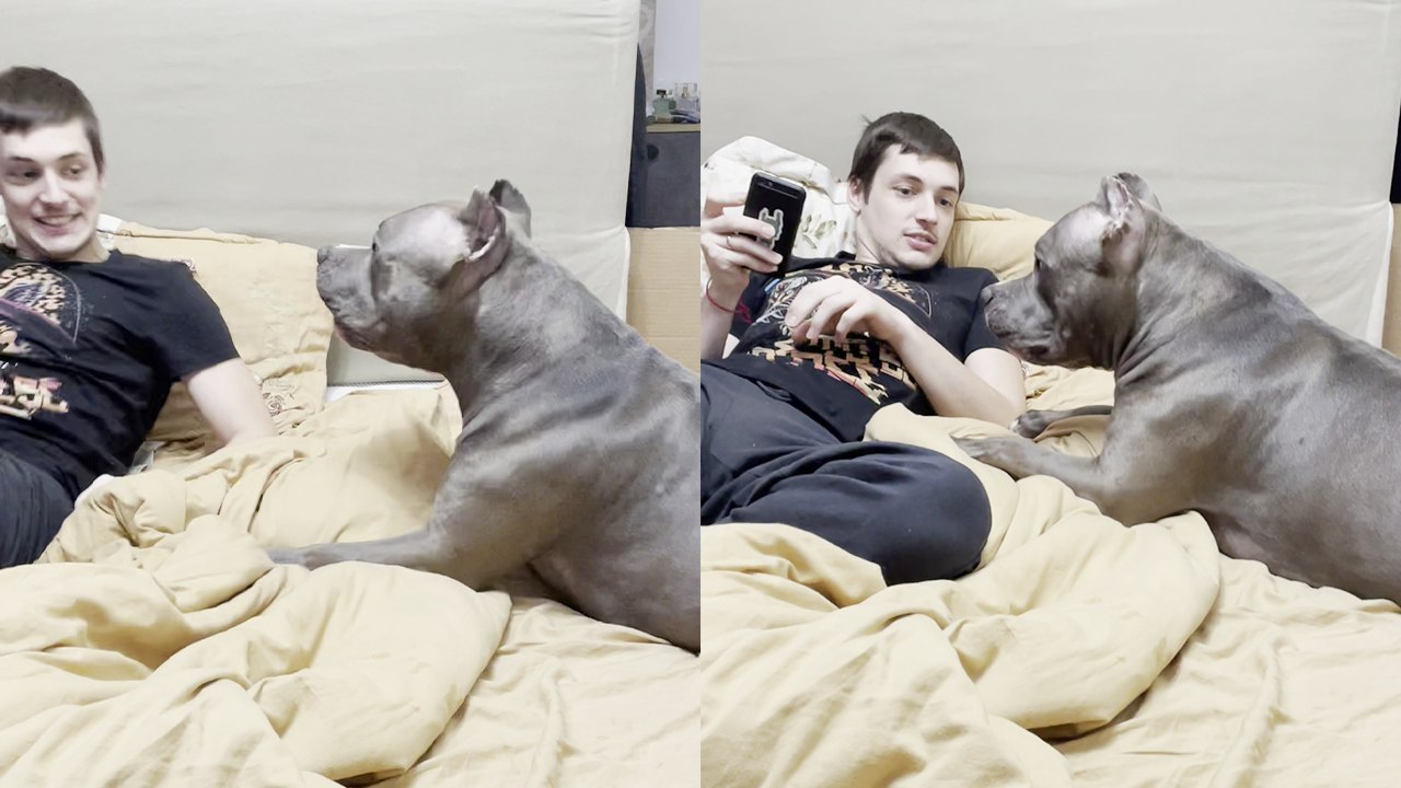 'Adorable dog is SUPER MAD at her owner for chilling without her '