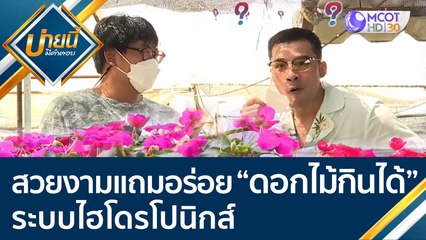 สวยงามแถมอร่อย "ดอกไม้กินได้" ระบบไฮโดรโปนิกส์  | บ่ายนี้มีคำตอบ (24 ม.ค. 65) OnAir