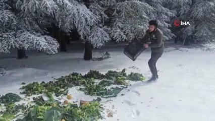 Yaban hayatına 15 ton yem bırakıldı