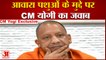 CM Yogi Exclusive Interview: आवारा पशुओं के मुद्दे पर सीएम योगी का जवाब। CM Yogi। UP ELECTION 2022