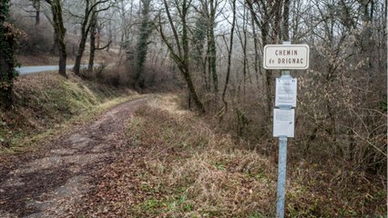 FEMME ACTUELLE - Affaire Jubillar : de nouvelles révélations autour des cinq maisons près de la ferme
