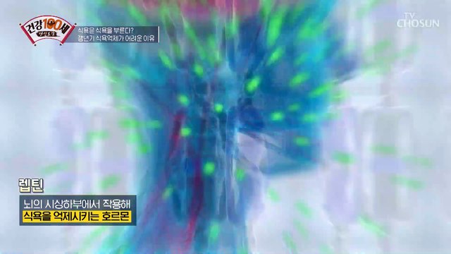 비만&골다공증&혈관 질환 관리에 좋은 구기자 TV CHOSUN 220124 방송