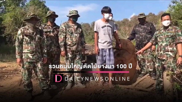 ตัดไม้เจอคุก! รวบหนุ่มใหญ่ตัดไม้ยางนา 100 ปี ค่า 5 แสน อ้างไม้ล้มเอง | HOTSHOTเดลินิวส์ 24/01/65