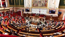 FEMME ACTUELLE - Pass vaccinal : les huissiers obligés de séparer deux députés, sur le point d'en venir aux mains à l'Assemblée nationale