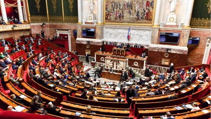 FEMME ACTUELLE - Pass vaccinal : les huissiers obligés de séparer deux députés, sur le point d'en venir aux mains à l'Assemblée nationale