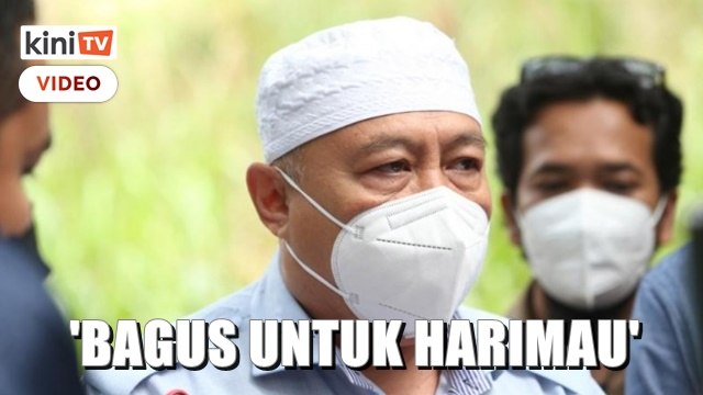 'Pembalakan bagus untuk harimau' - Jabatan Perhutanan K'tan