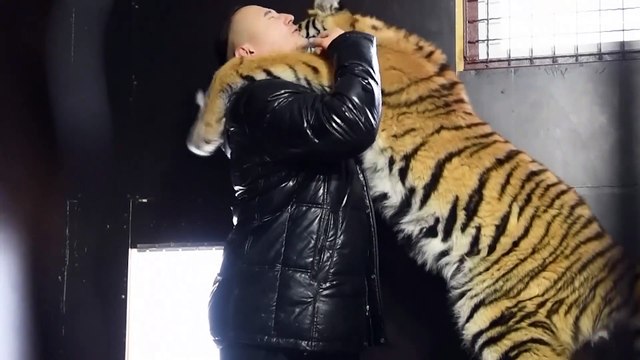 Приют для тигров: семья продала имущество, чтобы спасти хищников