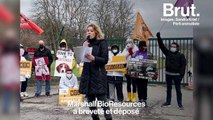 En France, des élevages de chiens beagles destinés aux laboratoires