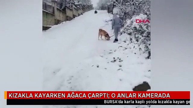 KIZAKLA KAYARKEN AĞACA ÇARPTI; O ANLAR KAMERADA
