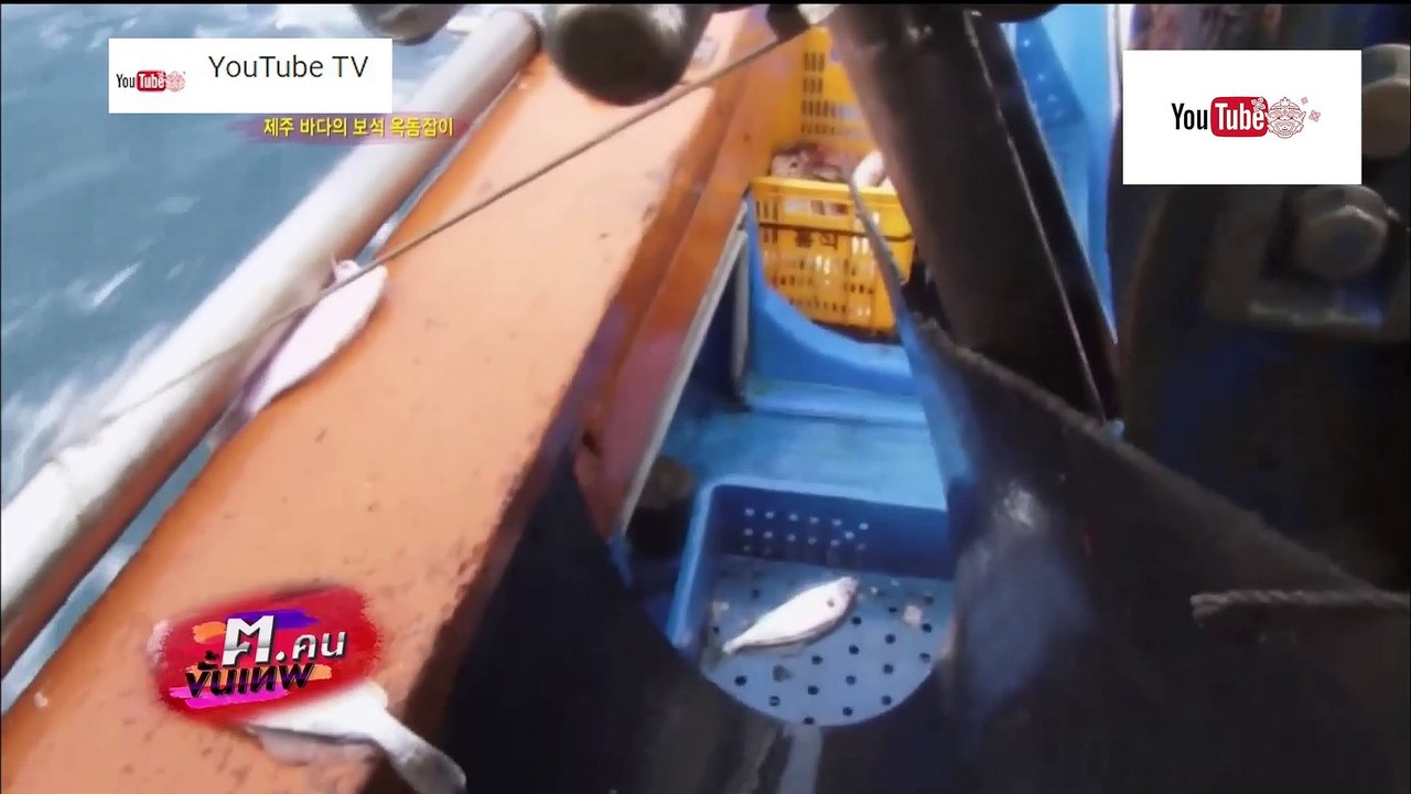 ฅ.คนขั้นเทพ ตอน จับปลาไทที่เกาะเชจู
