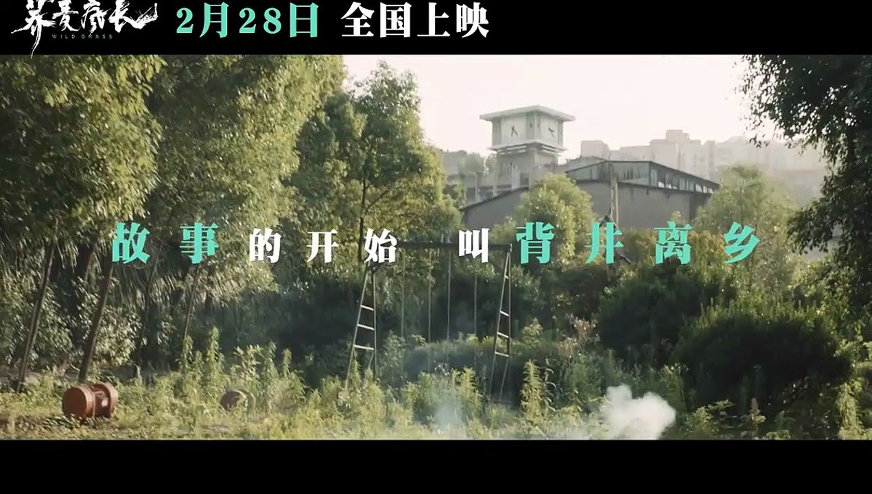 Wild Grass (2020)