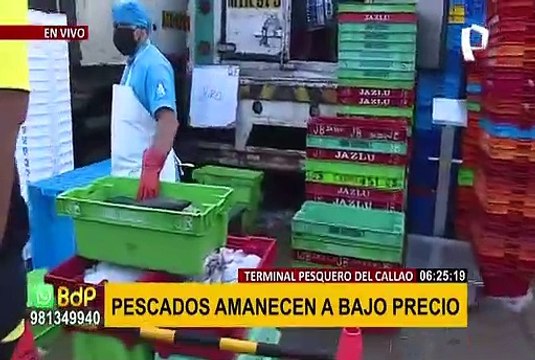 Derrame de petróleo: precios en Terminal Pesquero del Callao no presentan alzas