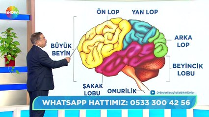Dr. Ender Saraç ile Sağlıklı Günler 167. Bölüm | 19 Ocak 2022