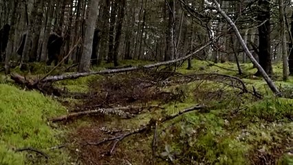 Frontier (2016) Saison 0 - Frontier Official Trailer (Season 1) (EN)