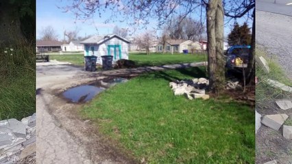 Monarch Butterfly Waystation // Pollinator Garden Expansion with Wood Chips