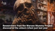 Archeologists Find ‘Pickled’ Fetus Inside an Egyptian Mummy