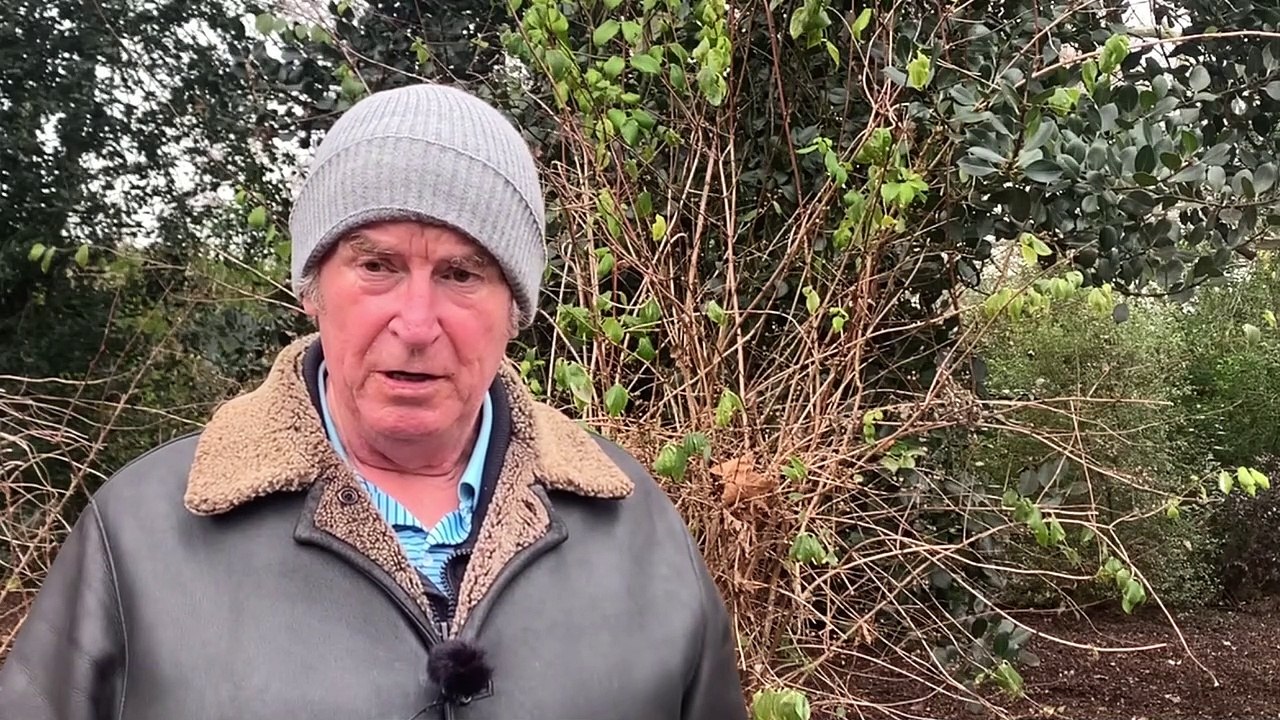 Can confused Londoners keep up with the changing covid restrictions?