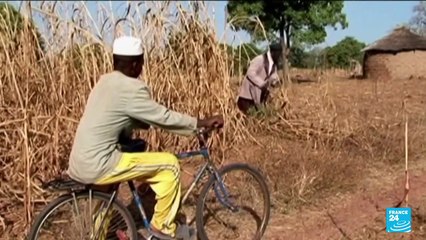 Burkina Faso, from popular uprising to soldiers' revolt