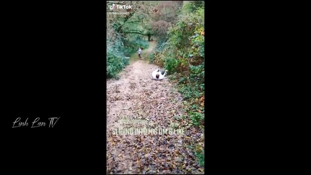 Best Fun | Moments Of The Year Compilation Funny Video | Fun Fails Video | Viral Mix Tv #fails #funnyvideo