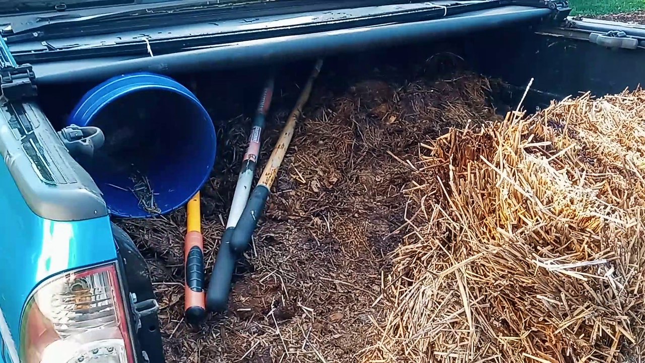 Creating a Flower Bed...Planting a Million Flowers