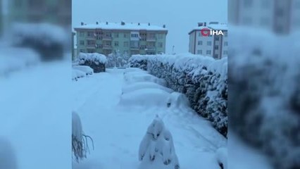 Tokat'ta araçlar kar altında kayboldu