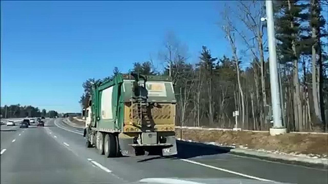Un raton laveur fait un petit tour de camion poubelle