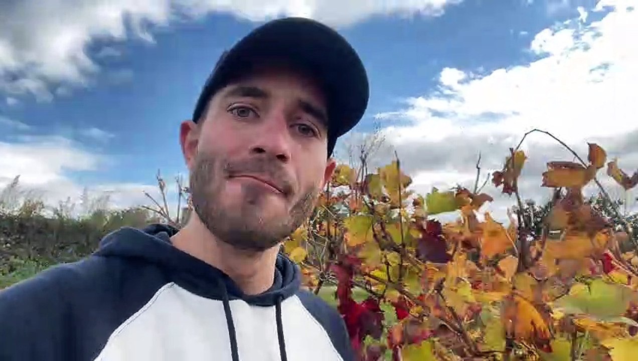 Les vins de la Loire, des cépages de qualités à Malleval