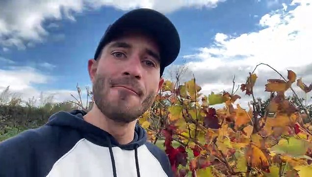 Les vins de la Loire, des cépages de qualités à Malleval