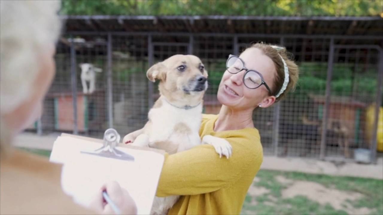 Kentucky Shelter Shares Heartbreaking Photo of Dog "Stood Up" By Potential Adopters