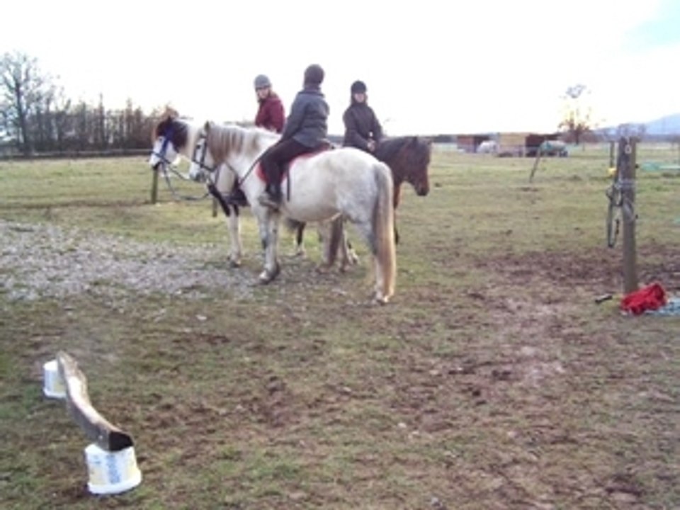 TREC meg et maggy