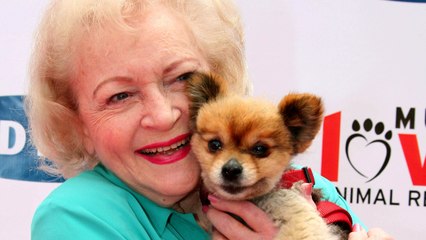 Viral #BettyWhiteChallenge Raises Millions For Animal Shelters In Her Honor