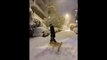Κωνσταντίνος Αργυρός: Κάνει snowboard στο κέντρο της Αθήνας και το Instagram ξεσηκώνεται (video)