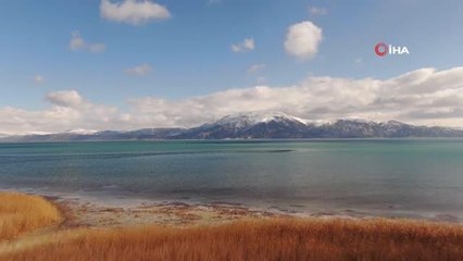 Göller yöresindeki su kuşları tek tek sayılıyor